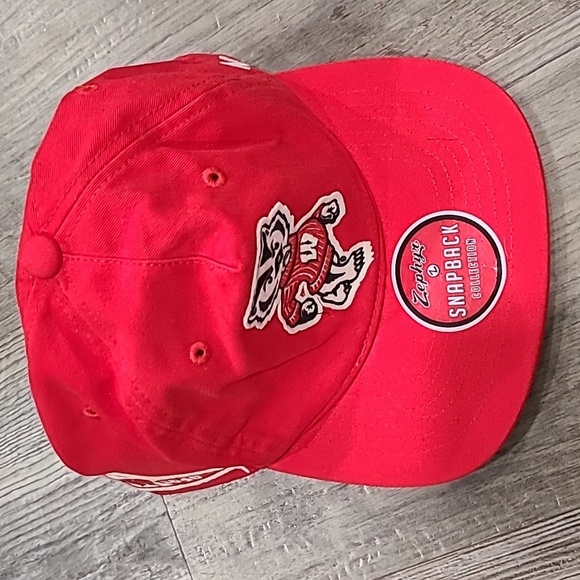 Wisconsin Badgers Snapback Collection Hat  by Zephyr - Picture 1 of 5
